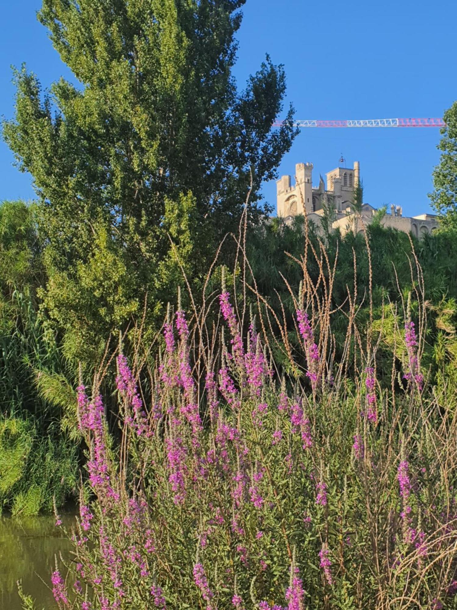 Art Lovers Apart Third Floor Beziers Exterior photo